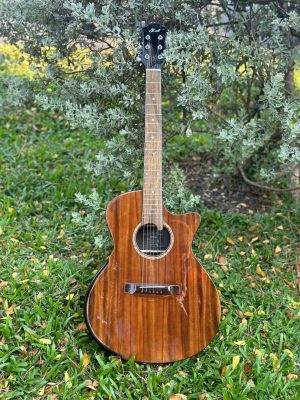 San Pham Am Nhac (10)